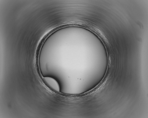 X0000111870780200907231150
