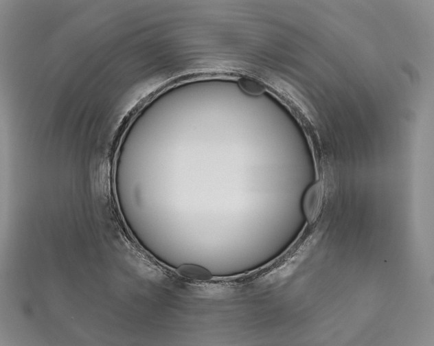 X0000111870781200907231150