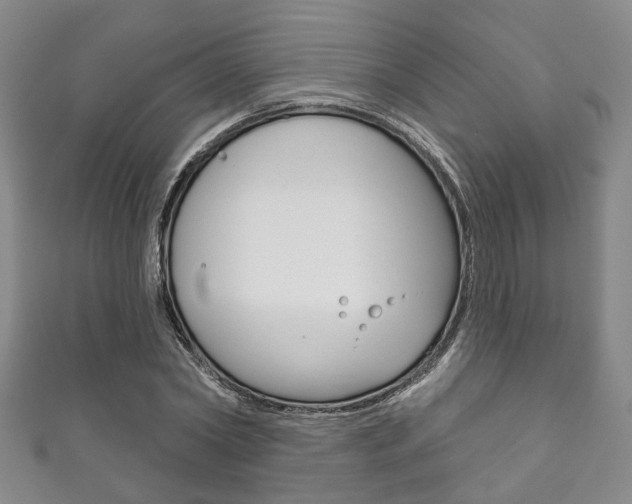 X0000111870782200907231150