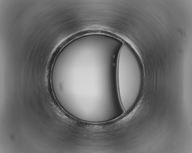 X0000111870783200907231150