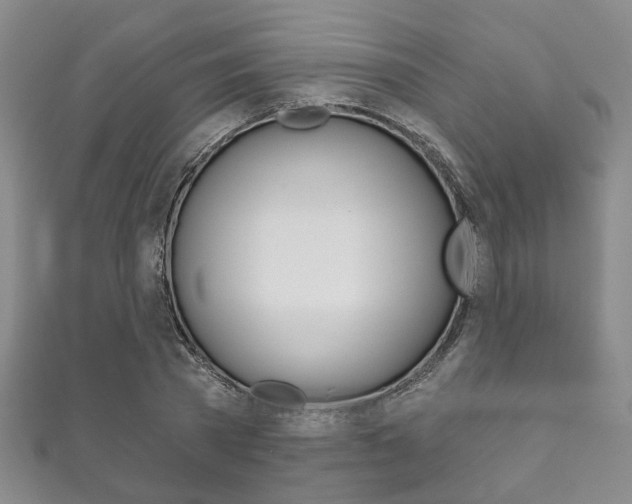 X0000111870785200907231150