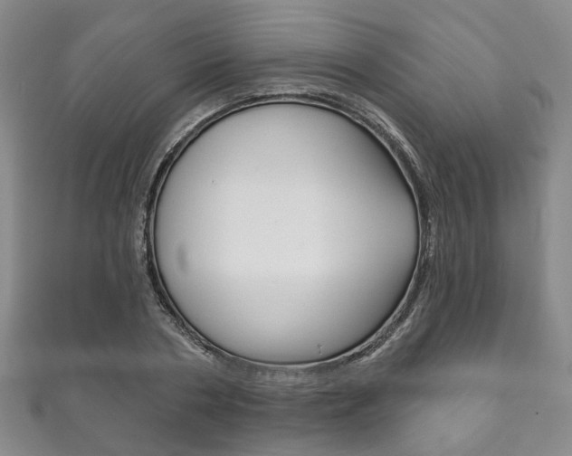 X0000111870786200907231150