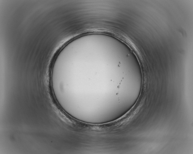 X0000111870787200907231150