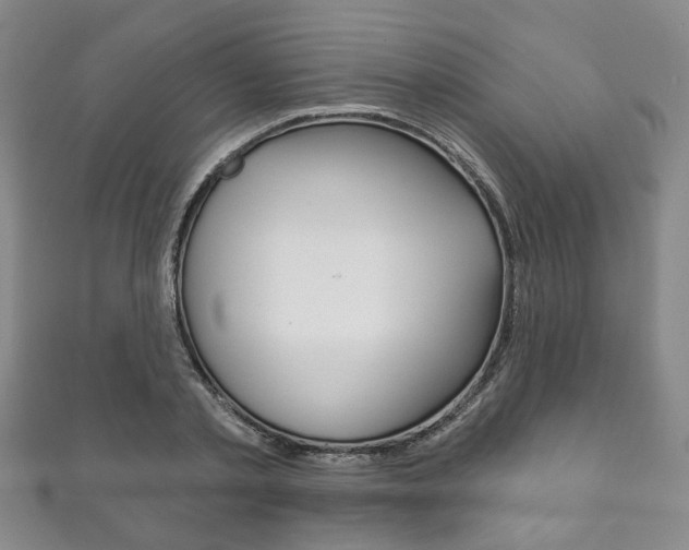 X0000111870789200907231150