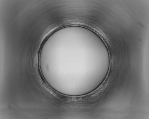 X0000111870790200907231150