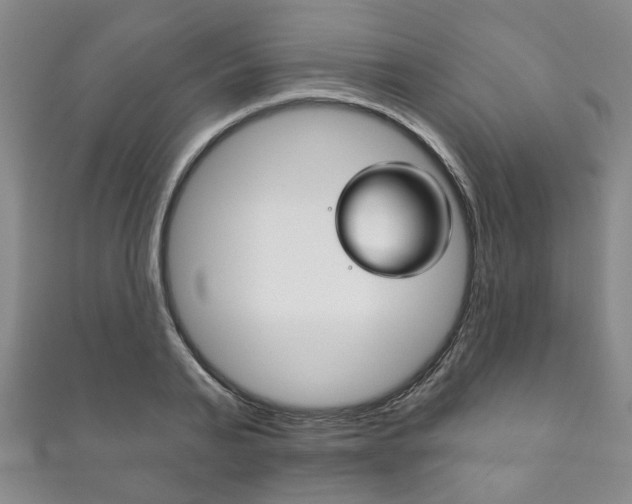 X0000111870791200907231150