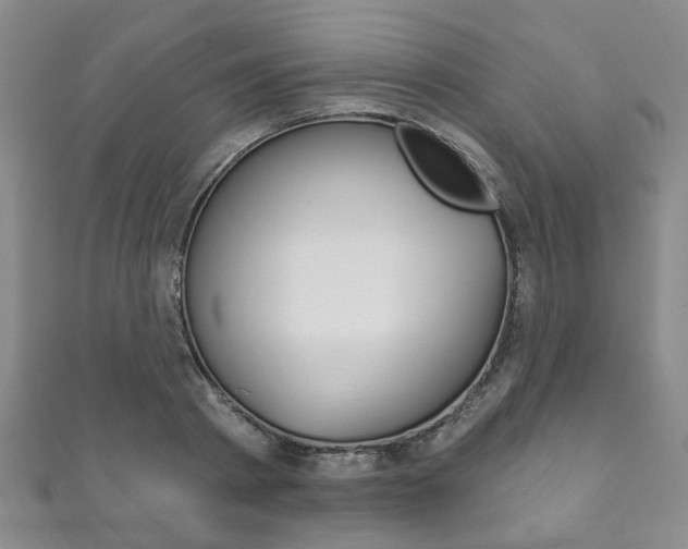 X0000111870793200907231150