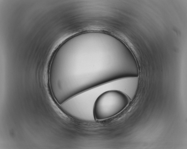 X0000111870795200907231150