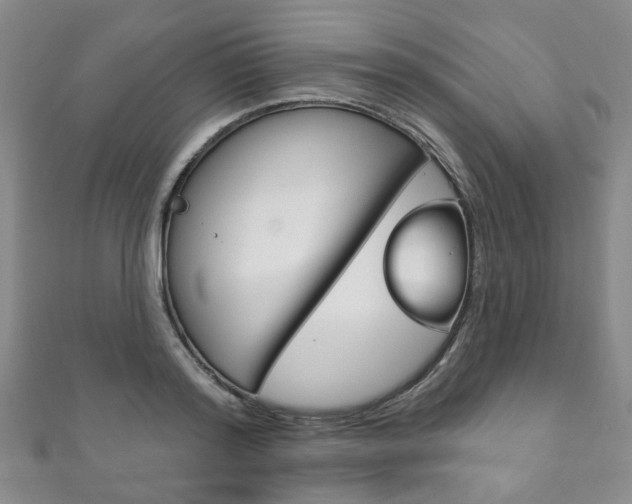 X0000111870796200907231150