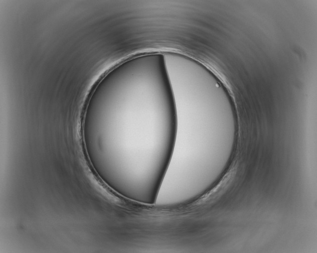 X0000111870797200907231150