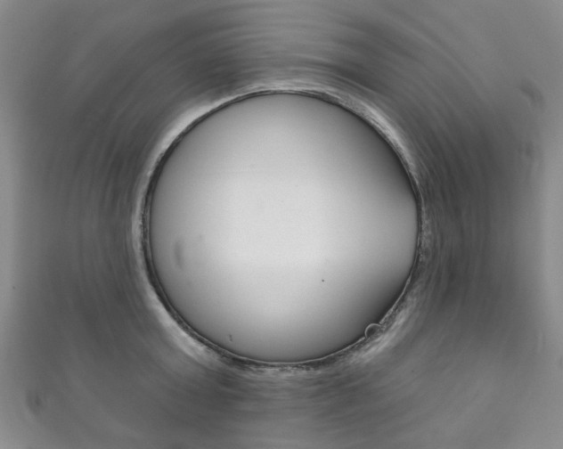 X0000111870803200907231150