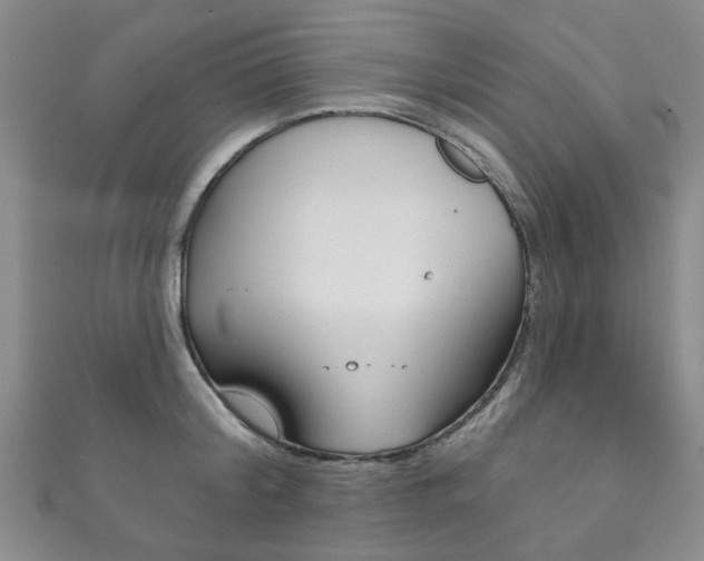 X0000111870804200907231150