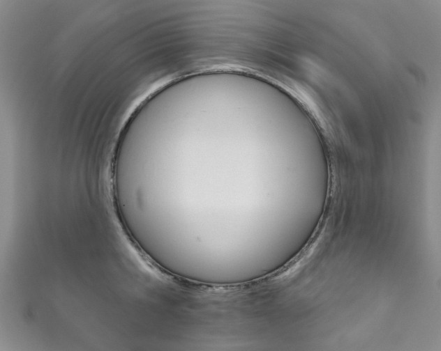 X0000111870806200907231150