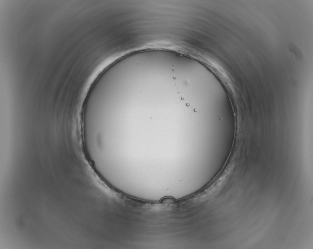 X0000111870808200907231150