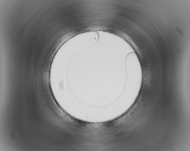 X0000111870810200907231150