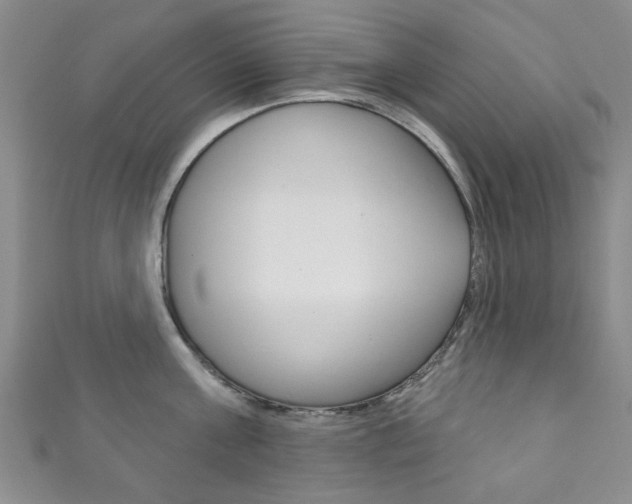 X0000111870811200907231150