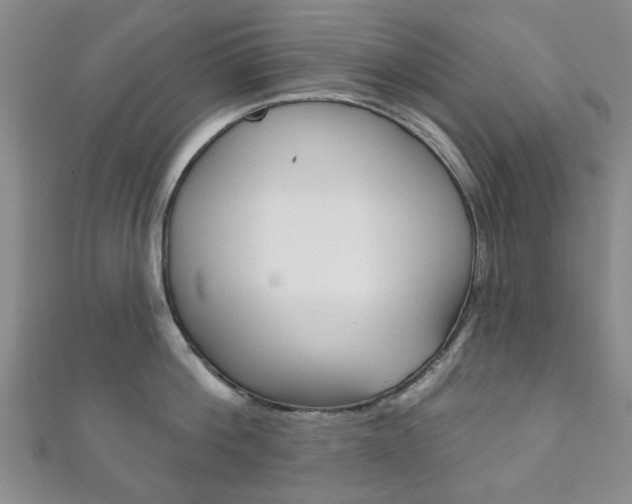 X0000111870812200907231150