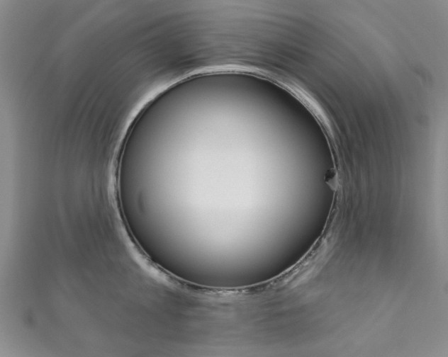 X0000111870813200907231150