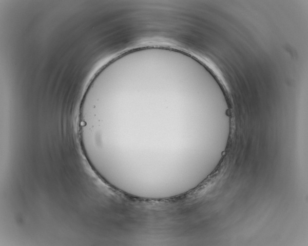 X0000111870815200907231150