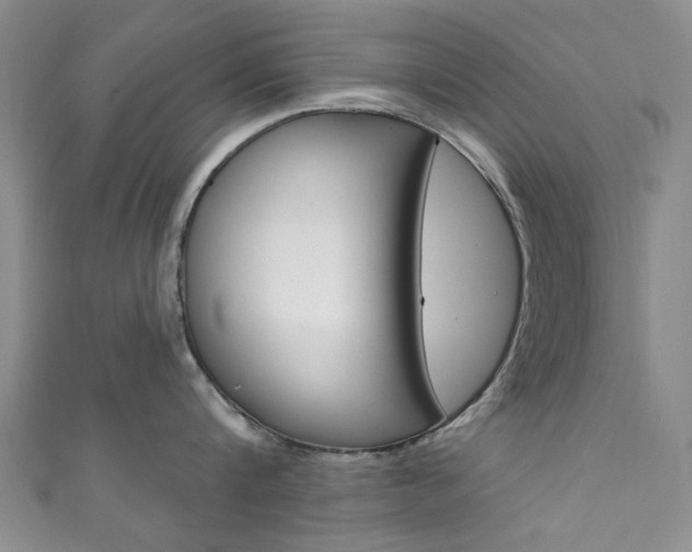 X0000111870816200907231150