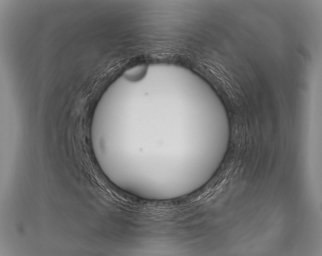 X0000111870817200907231149