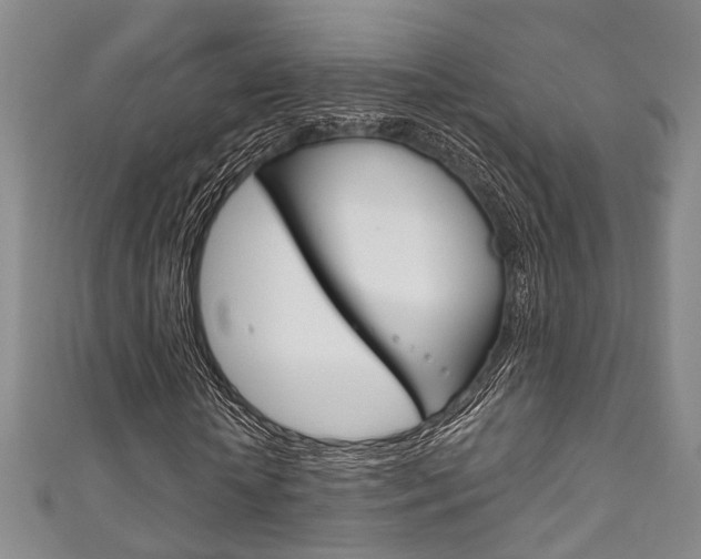 X0000111870818200907231149