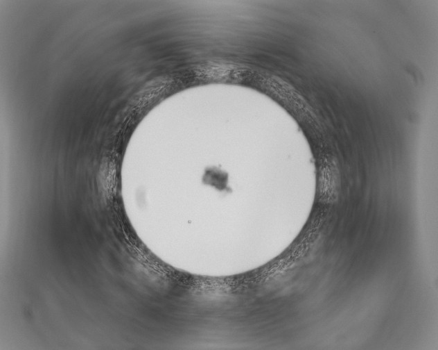 X0000111870820200907231149