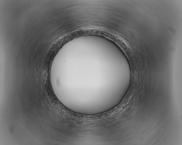 X0000111870821200907231149