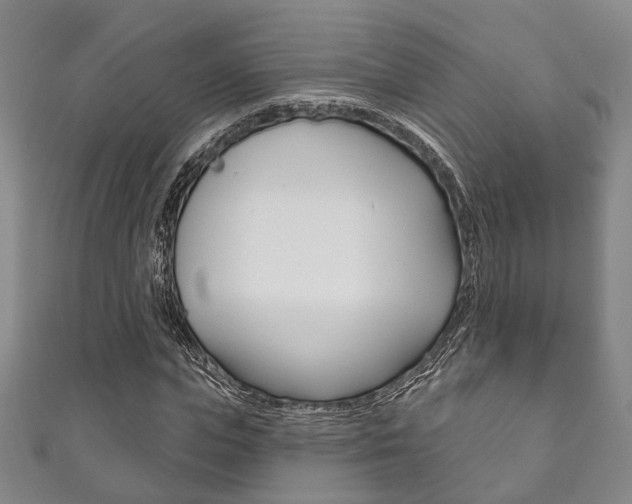 X0000111870823200907231149