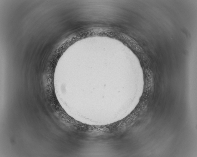 X0000111870824200907231149