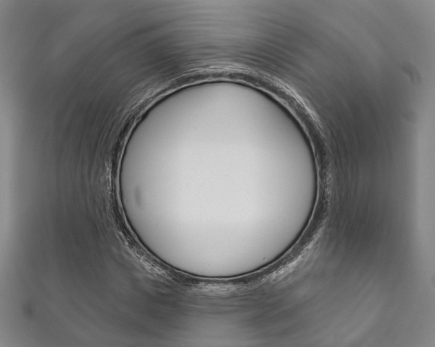 X0000111870825200907231149