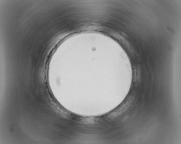 X0000111870828200907231149