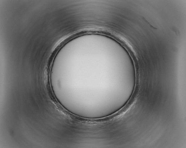 X0000111870829200907231149