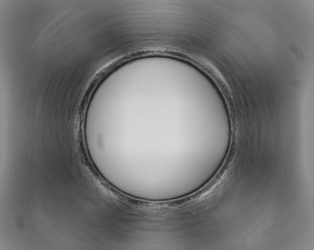 X0000111870831200907231149