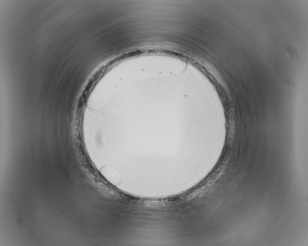 X0000111870832200907231149