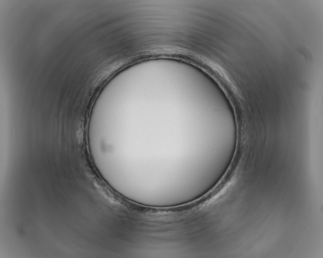X0000111870833200907231149