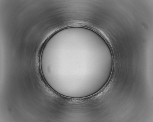 X0000111870835200907231149