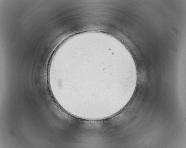 X0000111870836200907231149