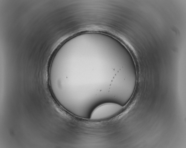 X0000111870837200907231149