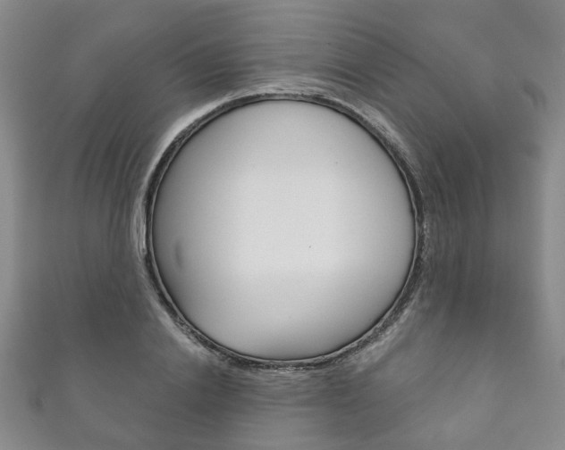 X0000111870838200907231149