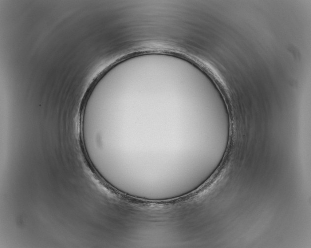 X0000111870839200907231149