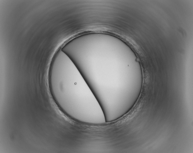 X0000111870840200907231149