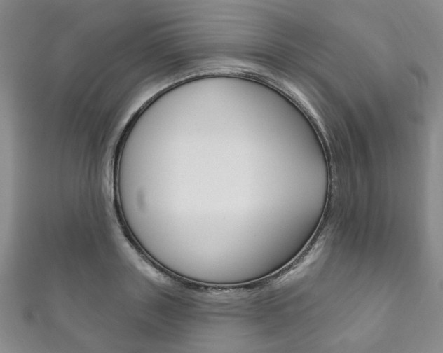 X0000111870843200907231149
