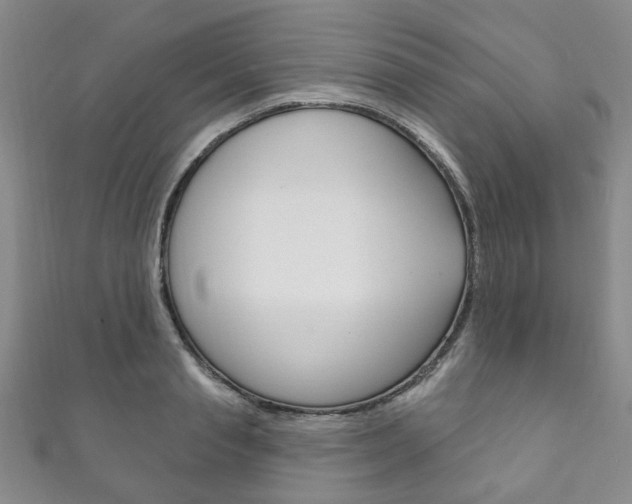 X0000111870845200907231150