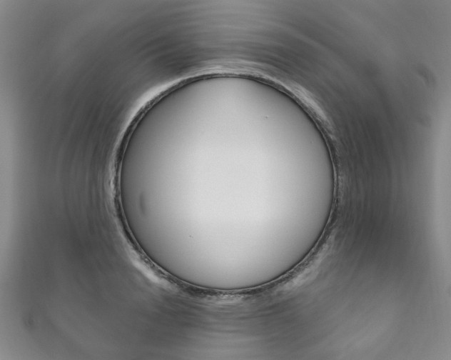 X0000111870846200907231150