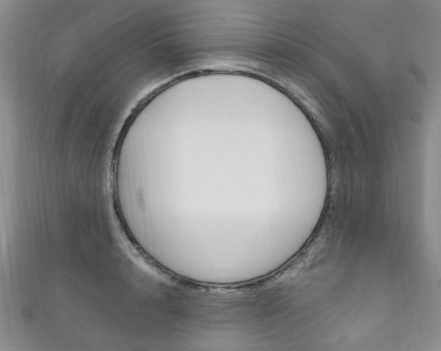 X0000111870848200907231150