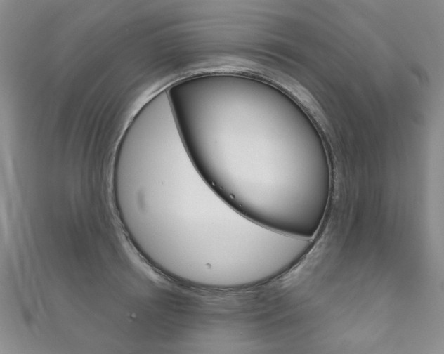 X0000111870850200907231150