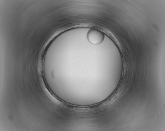X0000111870851200907231150
