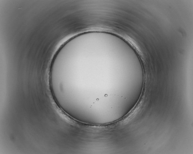 X0000111870854200907231150