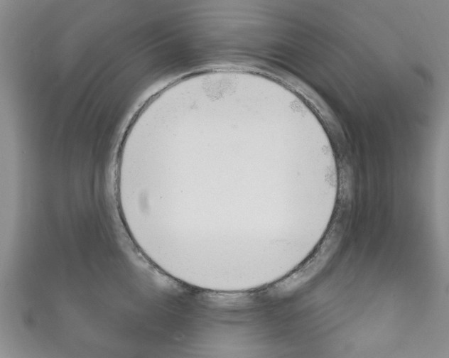 X0000111870856200907231150